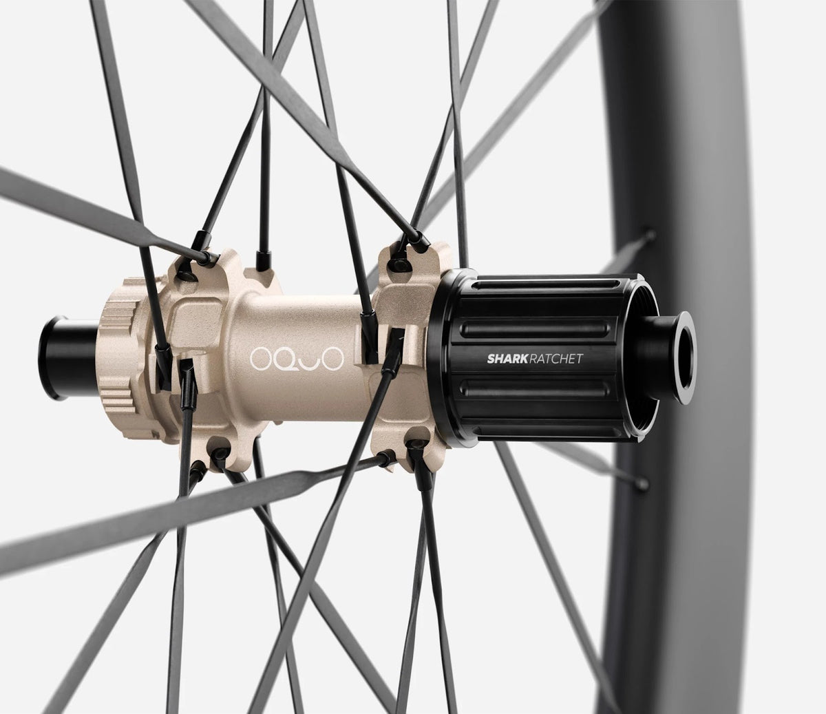 O1970040