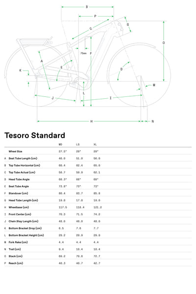 Tesoro Neo Automatiq Cannondale 2025 Sea Green #8