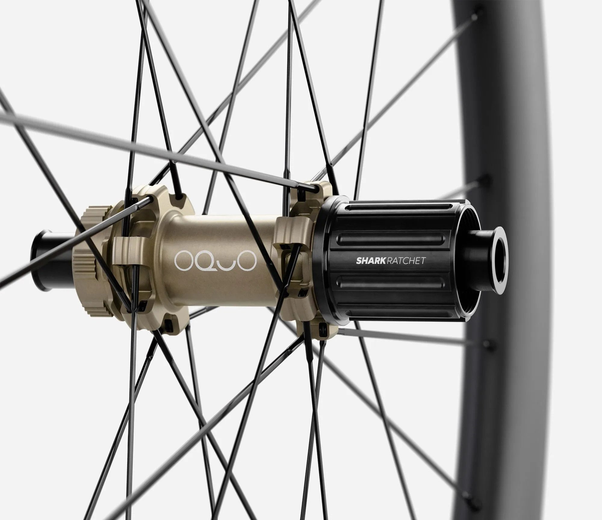 front-04-oquo-rp50ltd-hg